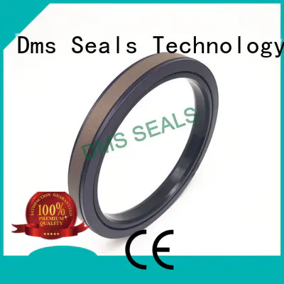 DMS Seal Manufacturer Brand hydraulic ptfe pneumatic piston seals seal