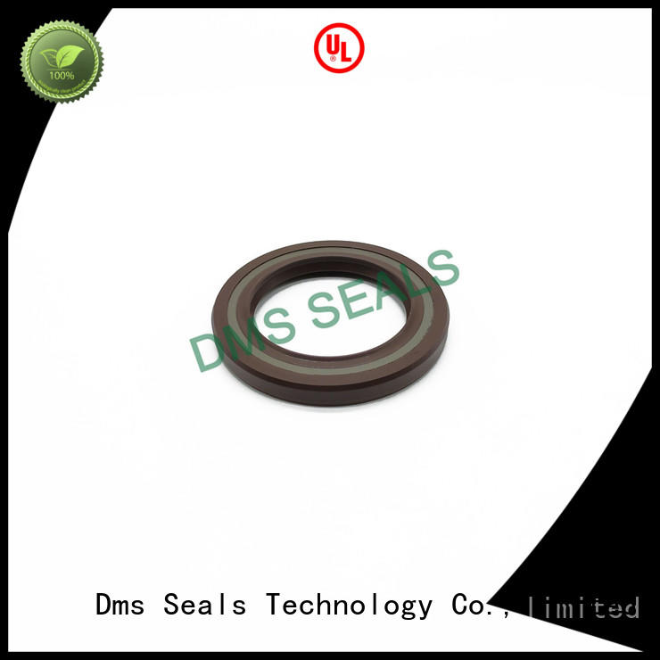 DMS Seal Manufacturer retainer oil seal with low radial forces for sale
