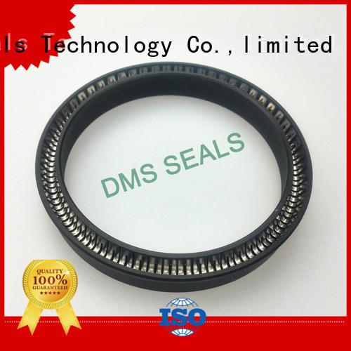 DMS Seal Manufacturer ptfe spring seals for reciprocating piston rod or piston single acting seal