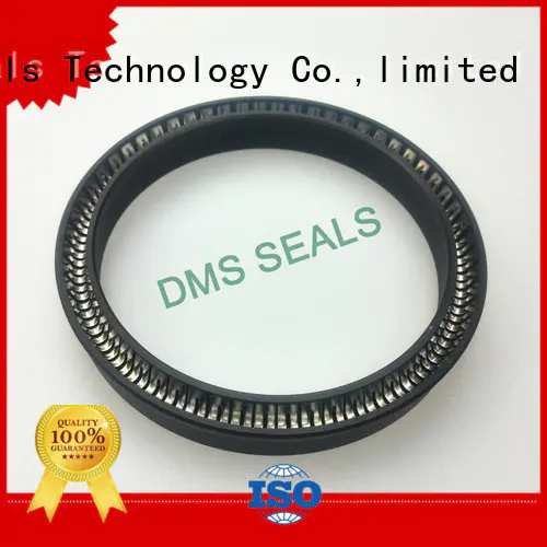 DMS Seal Manufacturer ptfe spring seals for reciprocating piston rod or piston single acting seal