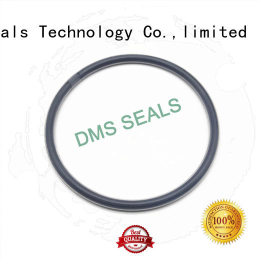 DMS Seal Manufacturer polyurethane wiper seal design Supply for sale