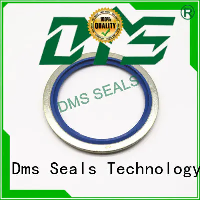 DMS Seal Manufacturer self centering washer company for fast and automatic installation