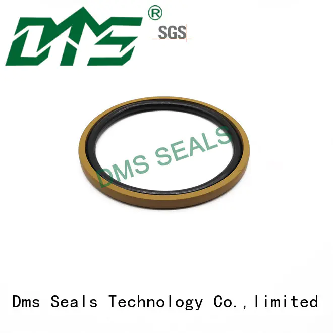 DMS Seal Manufacturer Wholesale hydraulic cylinder shaft seals with nbr or fkm o ring for light and medium hydraulic systems