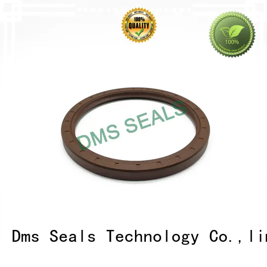 DMS Seal Manufacturer professional oil seal manufacturer with a rubber coating for housing