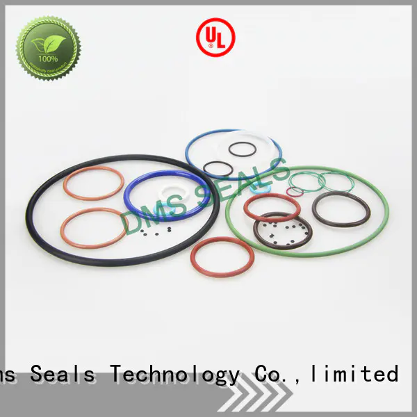 DMS Seal Manufacturer pfa o ring seal manufacturer with a diisocyanate or a polymeric isocyanate in highly aggressive chemical processing