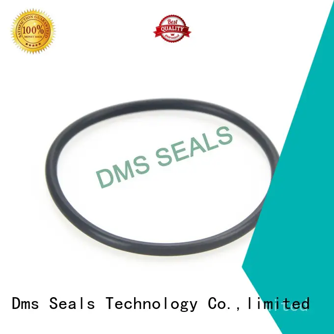 oil seal ring ptfe seal o-ring seal DMS Seal Manufacturer Brand