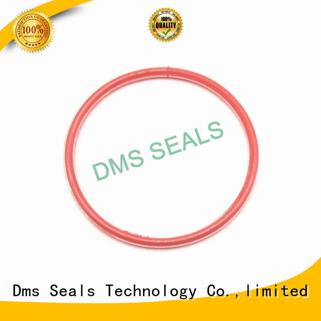 oil seal ring spring seal Warranty DMS Seal Manufacturer