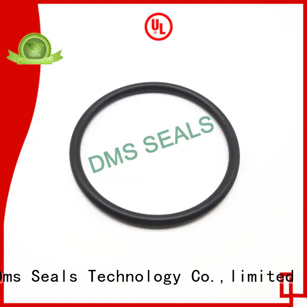 oil seal ring hot sale in highly aggressive chemical processing DMS Seal Manufacturer