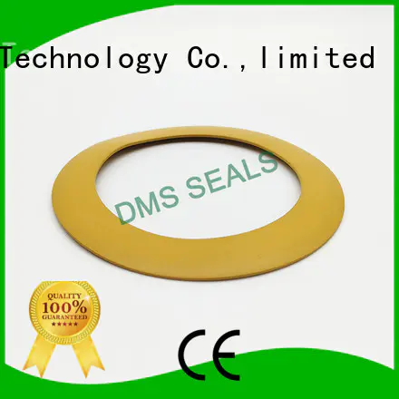 DMS Seal Manufacturer plastic vacuum gasket material for liquefied gas