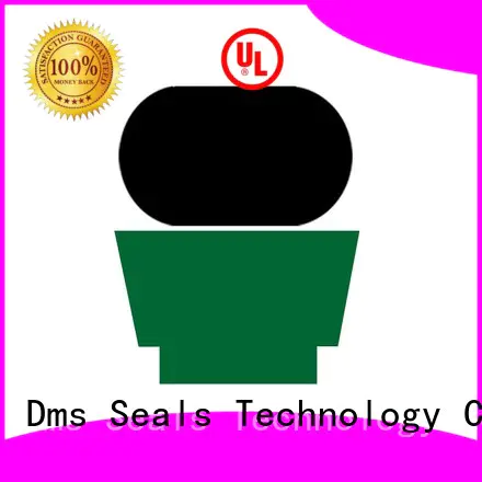DMS Seal Manufacturer Brand oring ptfe hydraulic nbrfkm rod seals