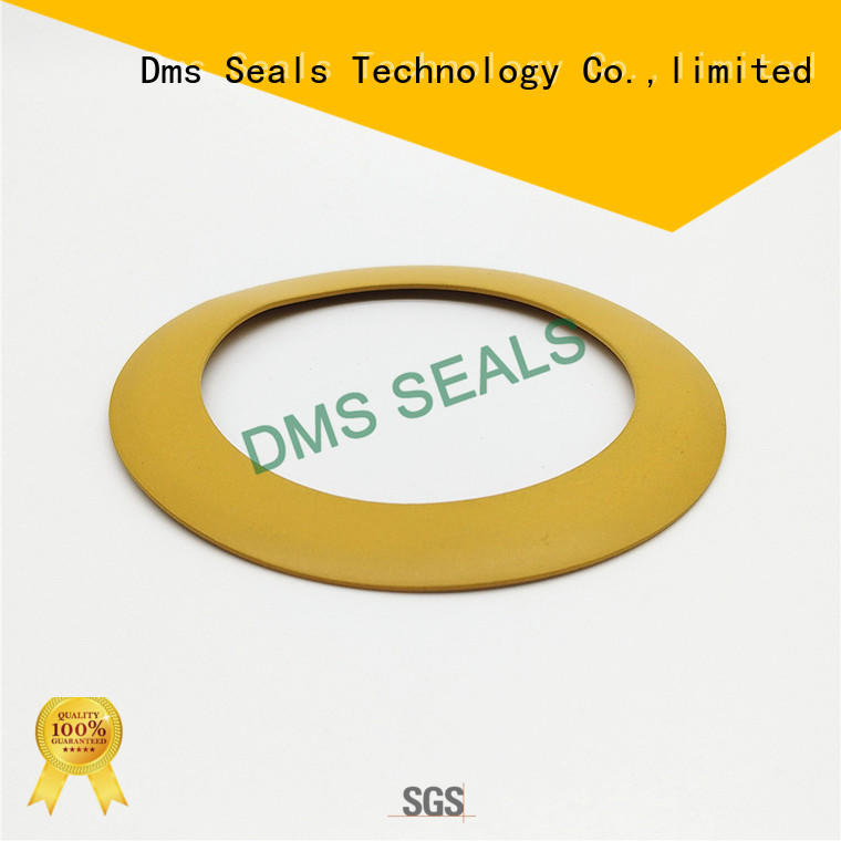 brt elastomeric gasket brt for preventing the seal from being squeezed DMS Seal Manufacturer