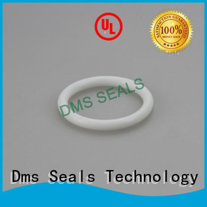 oil seal ring spring seal o-ring seal DMS Seal Manufacturer Brand