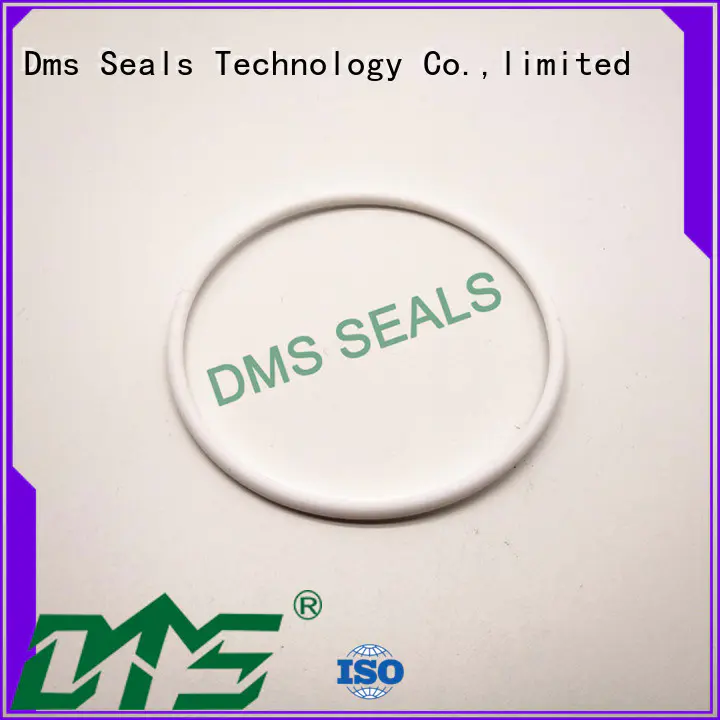 DMS Seal Manufacturer rubber round rubber ring Suppliers in highly aggressive chemical processing