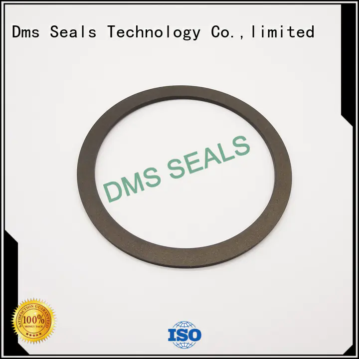 back up gasket seal ring ring for liquefied gas