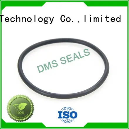 oil seal ring spring ptfe hydraulic DMS Seal Manufacturer Brand