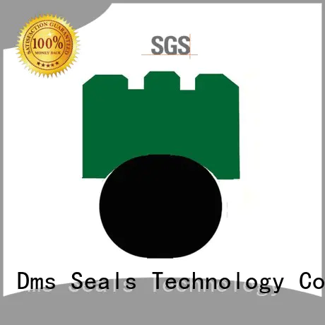 GNS - PTFE Hydraulic Rotary Seal with NBR/FKM O-Ring