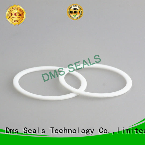 DMS Seal Manufacturer value rubber elastomeric gasket for liquefied gas
