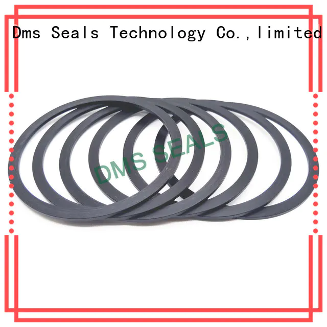 DMS Seal Manufacturer bronze filled cutting gasket material ring for liquefied gas