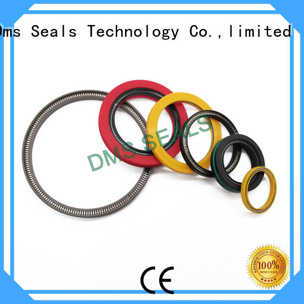 DMS Seal Manufacturer Latest glrd mechanical seal factory for reciprocating piston rod or piston single acting seal