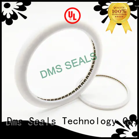 DMS Seal Manufacturer crane mechanical seals company for reciprocating piston rod or piston single acting seal