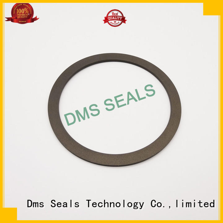 DMS Seal Manufacturer ptfe rubber and gasket material for preventing the seal from being squeezed