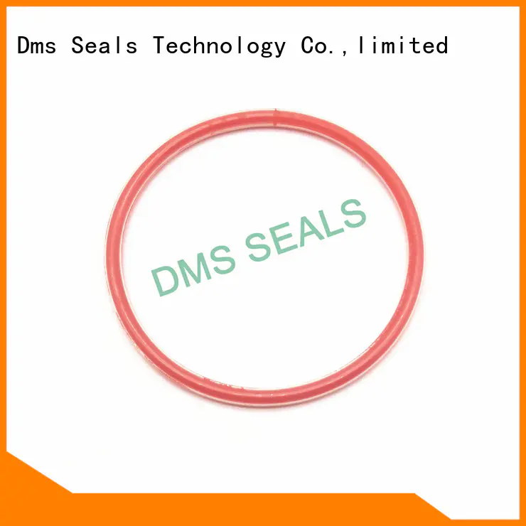DMS Seal Manufacturer rubber flat ring for business in highly aggressive chemical processing