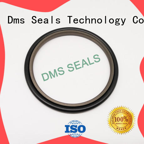 DMS Seal Manufacturer bronze filled hydraulic rod seals glyd ring for larger piston clearance