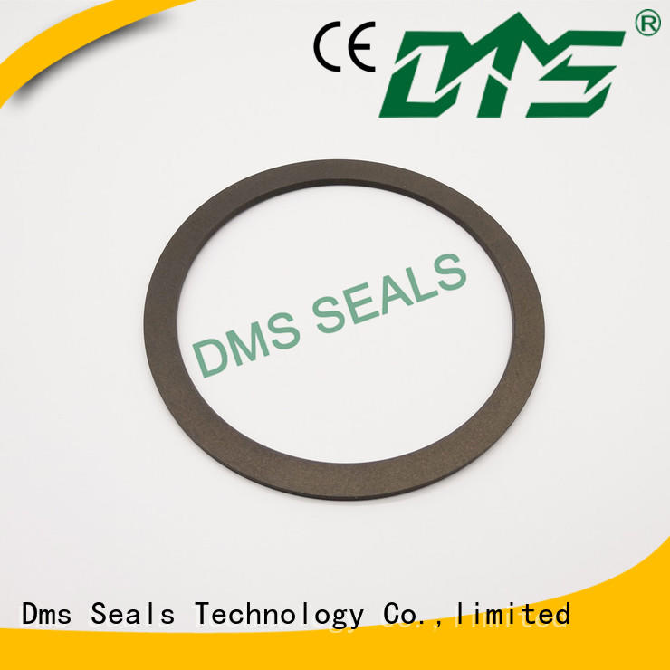 DMS Seal Manufacturer vacuum gasket material for liquefied gas