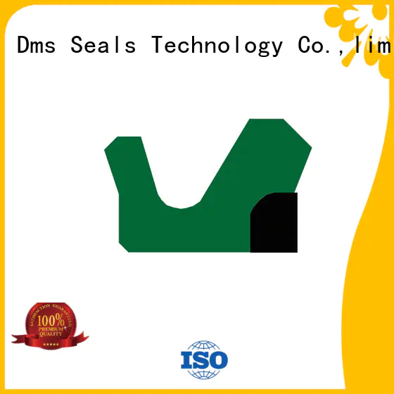 DMS Seal Manufacturer hydraulic packing and seals for sale