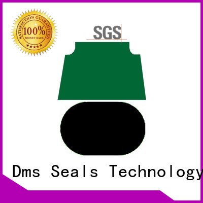 pneumatic piston seals ptfe oring Bulk Buy piston DMS Seal Manufacturer