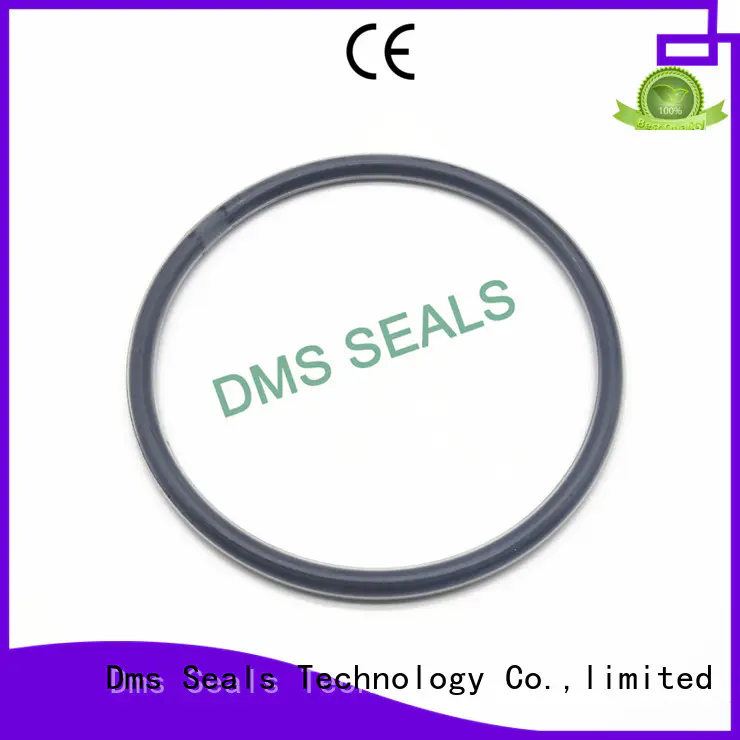 hydraulic ptfe spring OEM o-ring seal DMS Seal Manufacturer