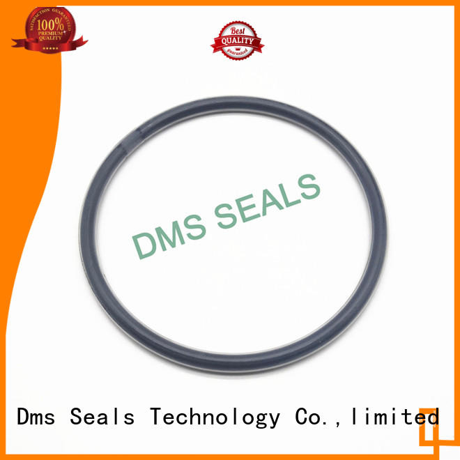 professional O Ring Manufacturer in highly aggressive chemical processing DMS Seal Manufacturer