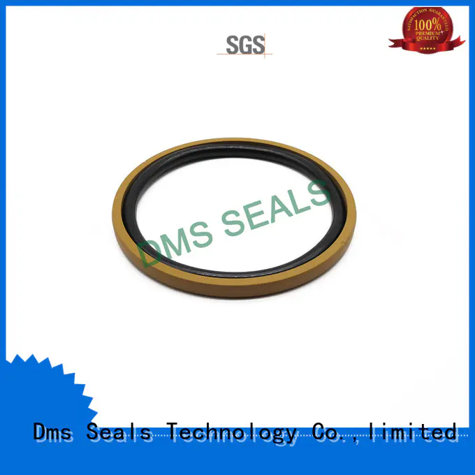 DMS Seal Manufacturer hydraulic pump oil seal factory for sale