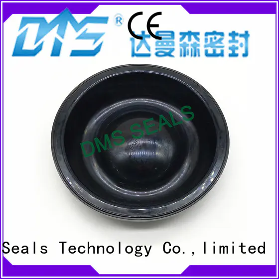 DMS Seal Manufacturer home door rubber seal with valuable elasticity for air bottle