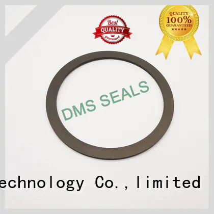 DMS Seal Manufacturer gasket material properties seals for preventing the seal from being squeezed