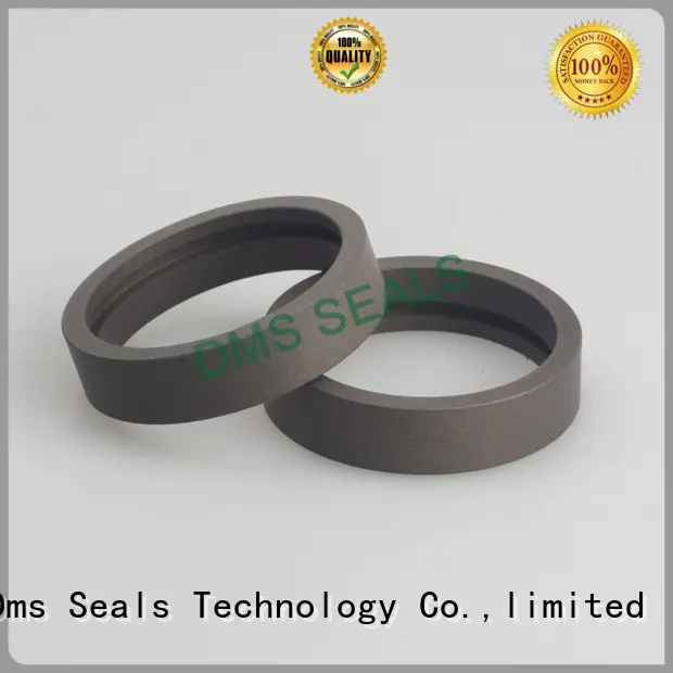 dfi oil seal manufacturer wear ring as the guide sleeve DMS Seal Manufacturer