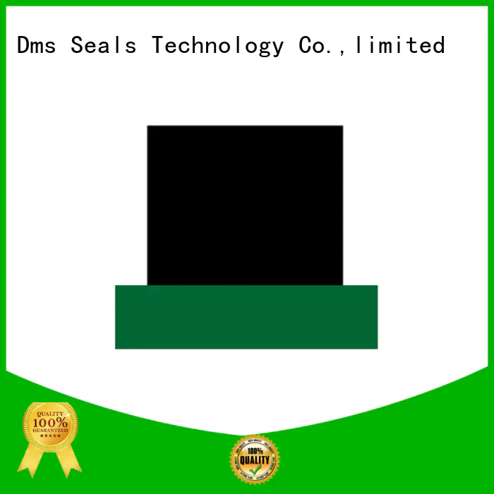 DMS Seal Manufacturer high end hydraulic rod seals with nbr or fkm o ring to high and low speed