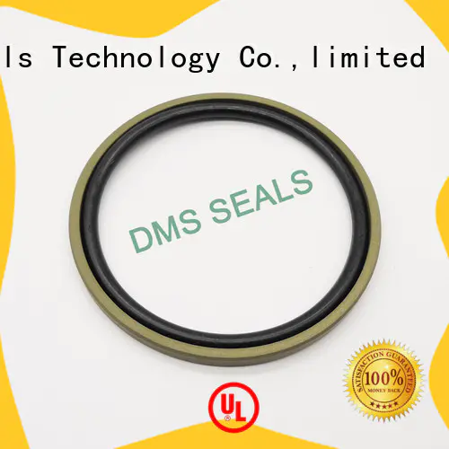DMS Seal Manufacturer piston seals supplier for piston and hydraulic cylinder
