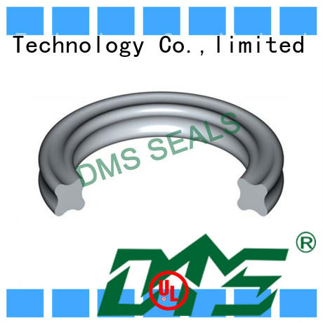 DMS Seal Manufacturer o-ring seal design for static sealing