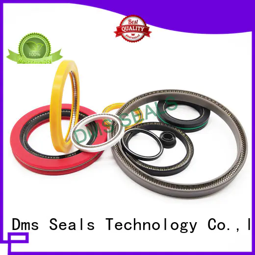 DMS Seal Manufacturer Top shaft seals for dynamic applications for reciprocating piston rod or piston single acting seal