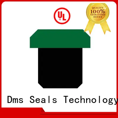 nbrfkm seal DMS Seal Manufacturer Brand pneumatic piston seals