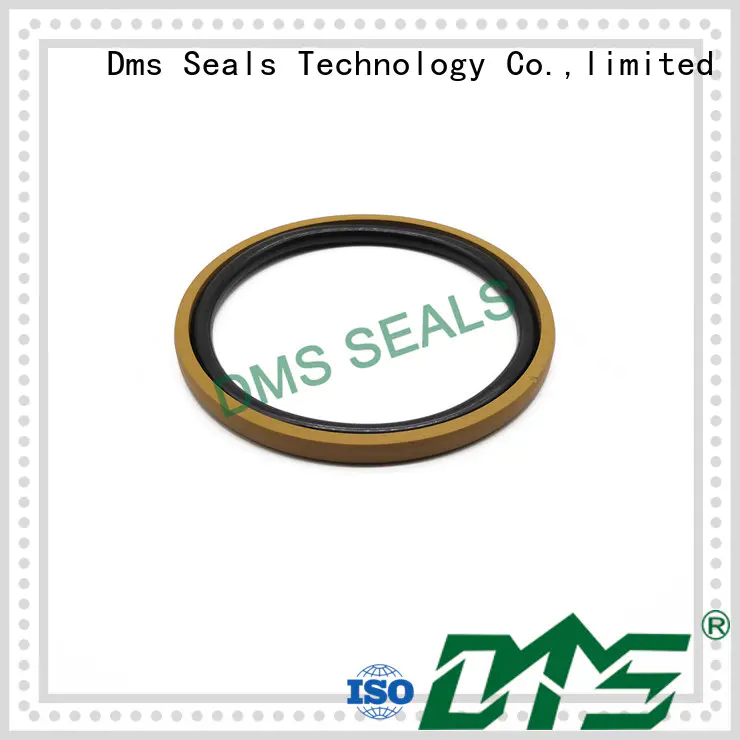 DMS Seal Manufacturer compact hydraulic piston seals glyd ring for light and medium hydraulic systems