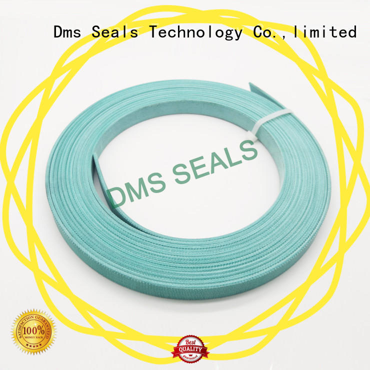 DMS Seal Manufacturer phenolic bearing element guide strip for sale