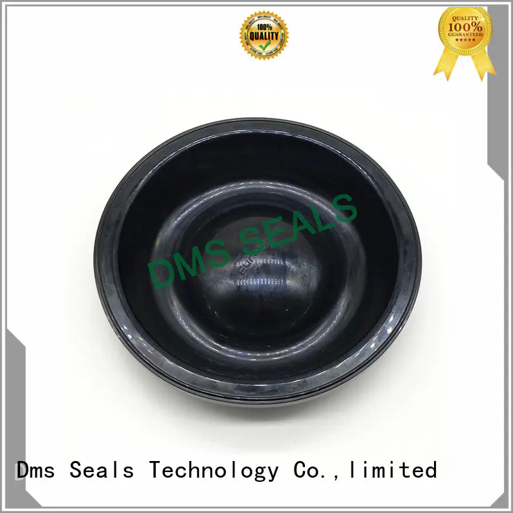 viton Rubber Seals manufacturers for leakage gap