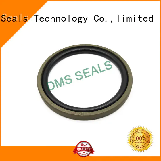 DMS Seal Manufacturer rod seals or piston seal for business for light and medium hydraulic systems