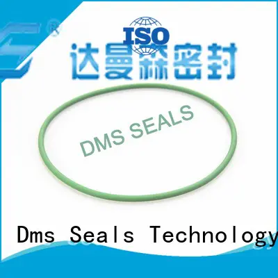 oring ptfe o-ring seal hydraulic spring DMS Seal Manufacturer company
