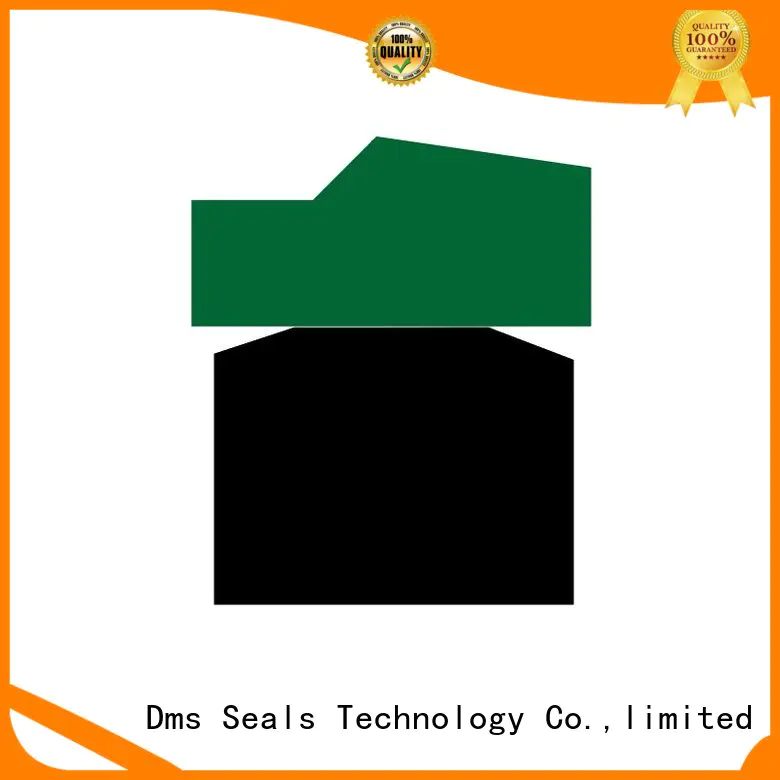 DMS Seal Manufacturer Brand seal nbrfkm ptfe pneumatic piston seals oring
