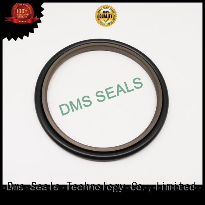 hydraulic oil seal custom for larger piston clearance DMS Seal Manufacturer