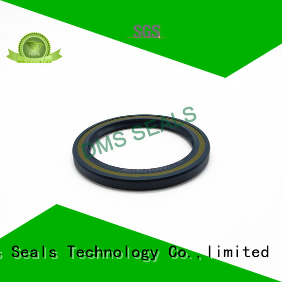 DMS Seal Manufacturer primary r21 oil seal with a rubber coating for sale