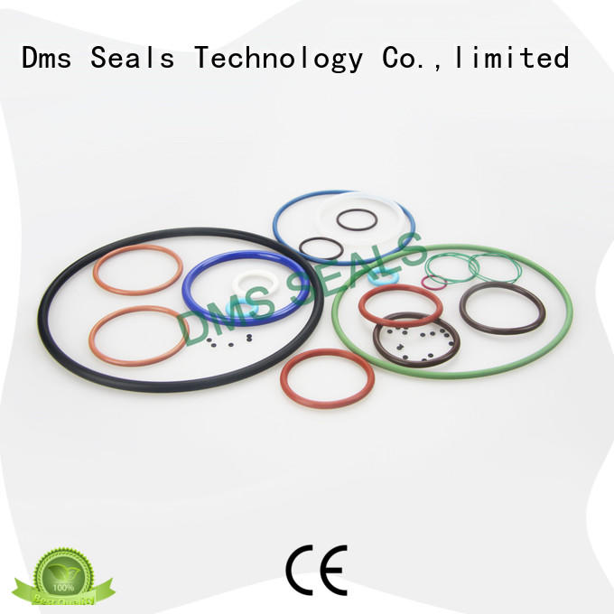 DMS Seal Manufacturer Wholesale wiper seal design for static sealing